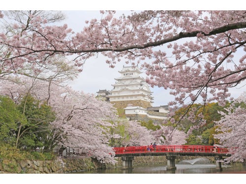 【名古屋発】厳島神社の大鳥居へ接近するフェリーで行く!日本三景 安芸の宮島&世界遺産 姫路城1泊2日3